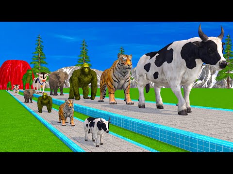 Paint & Animals Cow,Gorilla,Elephant,Giraffe,Tiger,Lion, Fountain Crossing Transformation Cartoon