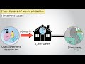 Exploring the Causes of Water Pollution