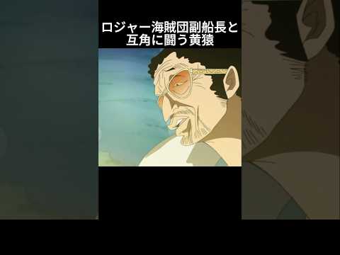冥王レイリーと互角に闘う黄猿の強さ #ワンピース #onepiece