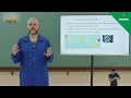 Empresas Transnacionais e Globalização