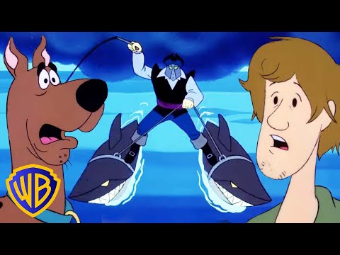 Scooby-Doo! en Latino | Ataques de tiburones 🦈 | @WBKidsLatino