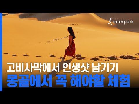 몽골 여행의 로망 게르 체험부터 고비사막 인생샷까지 몽골에서 꼭 해야할 체험 총정리