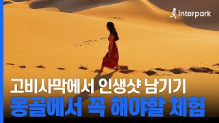 몽골 여행의 로망 게르 체험부터 고비사막 인생샷까지 몽골에서 꼭 해야할 체험 총정리