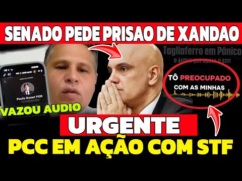 URGENTE!! SENADO PEDE PRISÃO DE XANDÃO DO STF! AUDIO COMPROMETEDOR VAZA PCC EM AÇÃO COM STF!