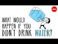 Understanding Water in the Human Body