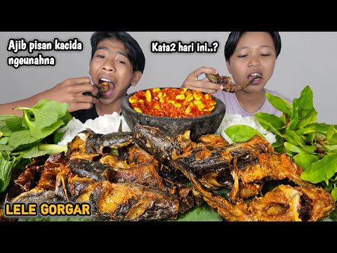 Kata2 hari ini ? Mukbang 1 kg lele goreng garing + sambal goreng pete + lalapan mentah, ngeunah