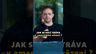 Hulení trávy ve vězení bez postihu #mscrew.cz