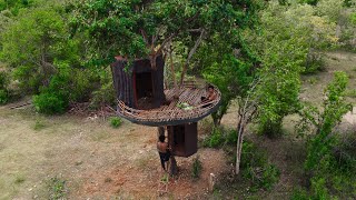 I Built a Hidden Forest Shelter on a Small Tree 6 Meters Tall