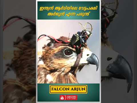 ഇന്ത്യൻ ആർമിയിലെ വേട്ടപക്ഷി "അർജുൻ" | Falcon Arjun