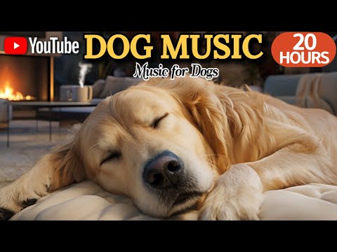 강아지가 좋아하는 음악💖🦮강아지 수면 음악 20시간 연속🎵🐶반려견의 긴장을 풀어주는 포근한 음악💤출근 전에 켜주세요 by 힐링메이트