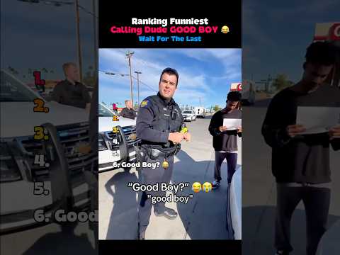 Funniest Good Boy Moments Ever Caught On Camera