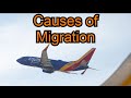 Migration Factors and Influences