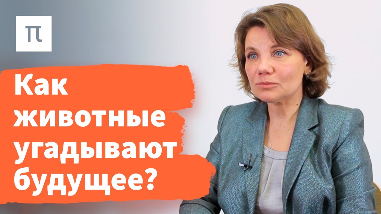 Локомоция и реакция на неопределенность - Варвара Дьяконова