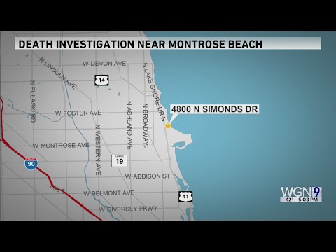 CPD: Body pulled from Lake Michigan near Montrose Beach