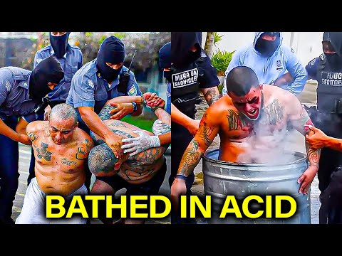 Footage Of How El Salvador Destroyed Their Brutal Gangs Go Viral!