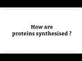 RNA and Protein Synthesis Concepts