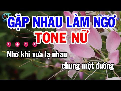 Karaoke Gặp Nhau Làm Ngơ Tone Nữ ( D ) Nhạc Sống Mới || Karaoke Đồng Sen