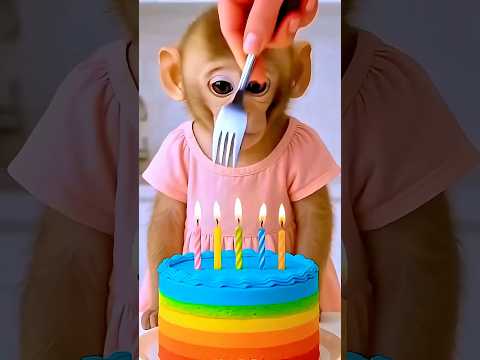خلص مابدي اكل !