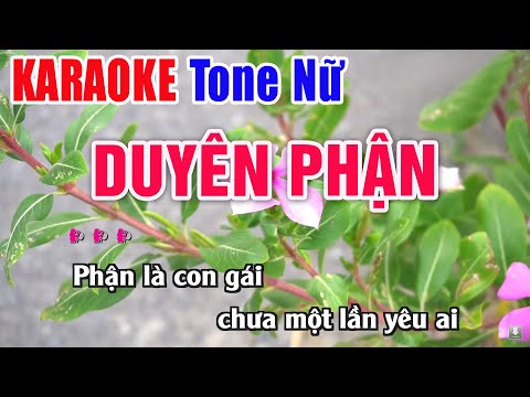 Duyên Phận Karaoke Tone Nữ Beat Chuẩn – Nhạc Sống Thanh Ngân