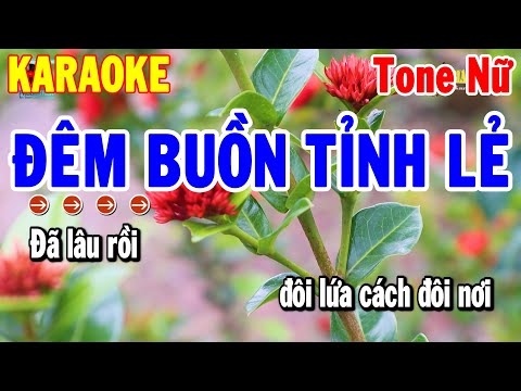 Karaoke Đêm Buồn Tỉnh Lẻ Tone Nữ Nhạc Sống Beat Mới 2024 | Karaoke Thanh Hải