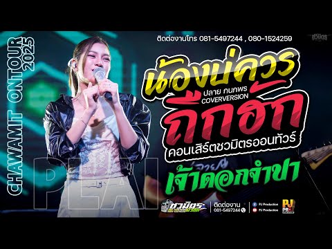 มาแรง!!  น้องบ่ควรถืกฮัก X เจ้าดอกจำปา X บ่โสดบ่อนุญาตให้จีบ | ปลาย กนกพร #ชวมิตรออนทัวร์ #คอนเสิร์ต