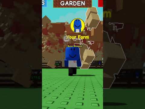 $1 Garden VS $1,000,000 Garden!