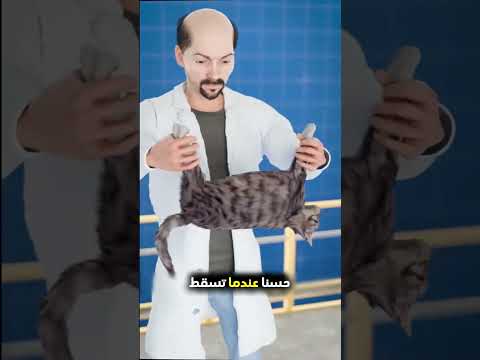 سقوط قطة من برج خليفة!😮😥🤔