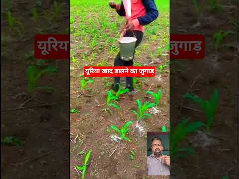 यूरिया खाद डालने का जुगाड़ ##short #ytshorts #shortfeed namaste namaste