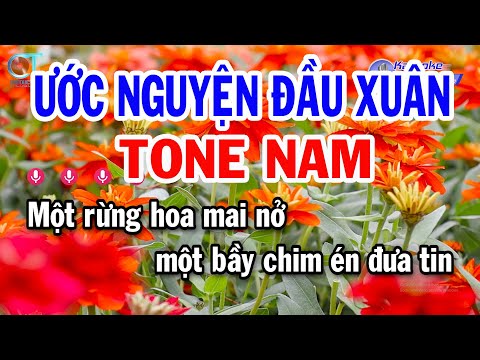 Karaoke Ước Nguyện Đầu Xuân Tone Nam ( Cm ) Nhạc Tết Beat Mới 2025