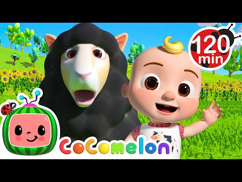 JJ and the Baa Baa Black Sheep! | Fun with JJ! | CoComelon Nursery Rhymes & Kids Songs