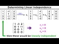 Linear Independence and Dependence Concepts