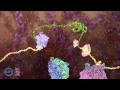 Molecular Biology Concepts and Processes