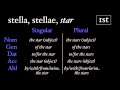 Understanding Latin Declensions