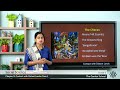 Ancient Indian Dynasties and Contributions