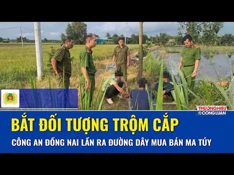 Bắt đối tượng trộm cắp, công an Đồng Nai lần ra đường dây mua bán ma túy trái phép