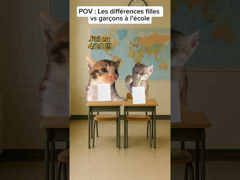 POV : Les différences filles vs garçon à l'école #humour #drole #catmemes #pov #sketch