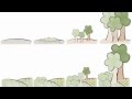 Exploring Forest Succession and Ecosystem Recovery
