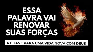 A CHAVE PARA UMA VIDA NOVA COM DEUS, Amado Deus, momento de oração