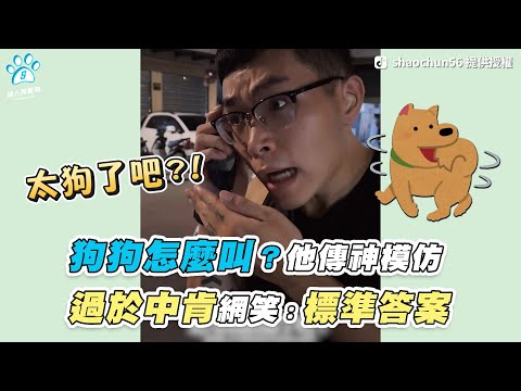 【狗狗怎麼叫？他傳神模仿 過於中肯網笑：標準答案】｜TikTok / shaochun56 / tingchen.528