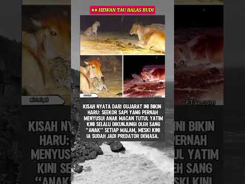 kita tidak bisa memilih siapa orang tua kita #shortvideo #vidioviral #fypシ゚viral #beranda