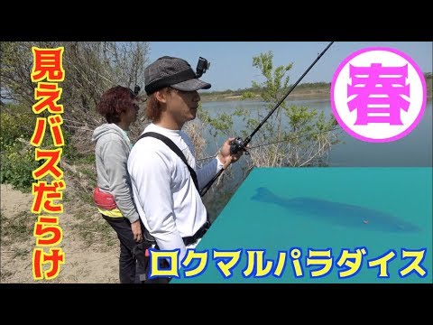 ５０オーバーのバスが大量に！？釣りよか新記録を本気で狙う！