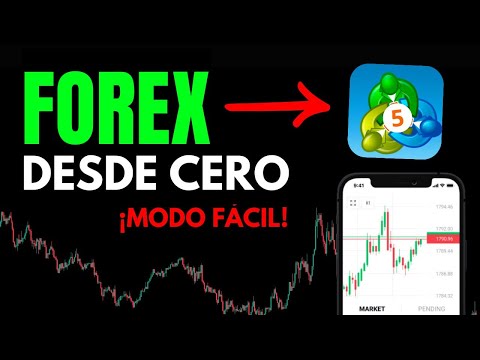 ✅ Cómo operar FOREX en METATRADER 5 (Tutorial para principiantes)