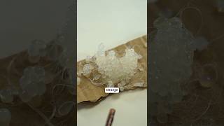 Rainy‑day macro idea ☔🔍