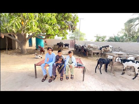 Eid Aur Mera New Born baby