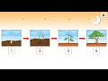 Understanding Sequences and Events