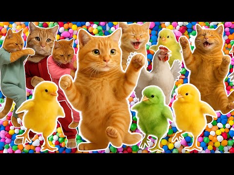 ANAK KUCING MEONG MEONG DANCE ANAK AYAM WARNA WARNI DANCE KUCING JOGET KITTYDAV VIDEO LUCU KUCING