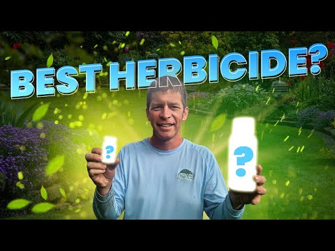 Best Herbicide Combination to Kill Weeds in the Lawn!
