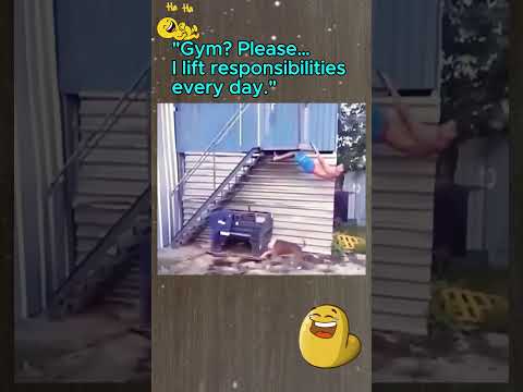 Lmao clips - funny dogs 2025 16.8 #funnydogs #funny #funnypets #cats #funnyanimal