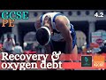 Exploring Recovery, Oxygen Debt, and EPOC in Physical Education