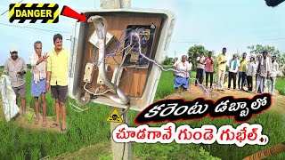 #Indian #sprectacled cobra snake Rescue || కరెంటు డబ్బులు చూడగానే గుండె గుభేల్ !! Call 7396969617